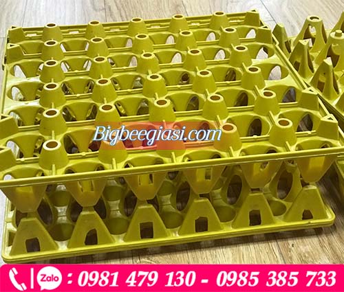 Khay nhựa đựng trứng 30 quả màu vàng
