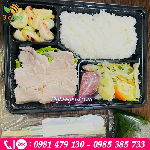 Hộp nhựa HT25 4 đựng cơm văn phòng tiện lợi, đẹp mắt Hộp nhựa HT25 4 đựng cơm văn phòng tiện lợi, đẹp mắt