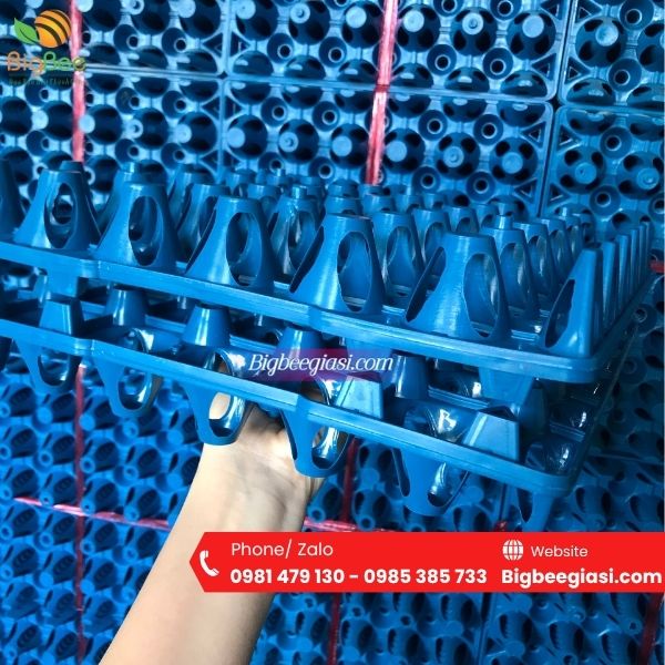 Vỉ nhựa đựng trứng gia cầm Thu Hồng cung cấp chất lượng cao Vỉ nhựa đựng trứng gia cầm Thu Hồng cung cấp chất lượng cao