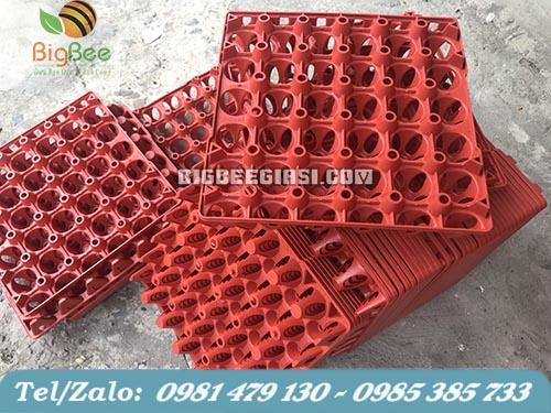 khay nhựa pp đựng 30 quả