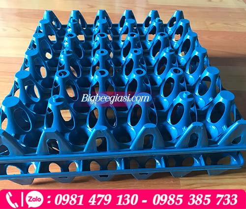 Khay nhựa đựng trứng 30 quả màu xanh