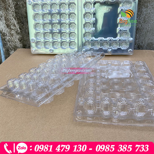 Vỉ pet đựng trứng cút Vỉ pet đựng trứng cút