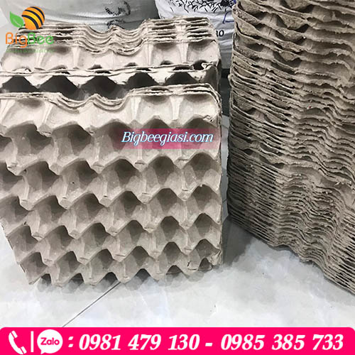 Khay giấy bền, nhẹ, an toàn, giá rẻ để đựng trứng Khay giấy bền, nhẹ, an toàn, giá rẻ để đựng trứng