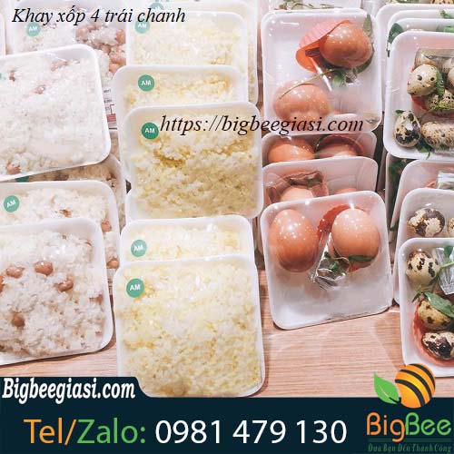 khay xốp vuông 4 trái chanh