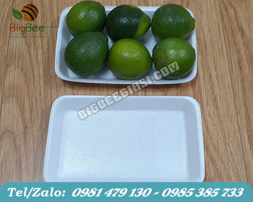 khay xốp đựng 6 trái chanh