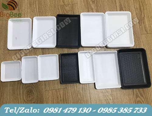 đa dạng các loại khay xốp