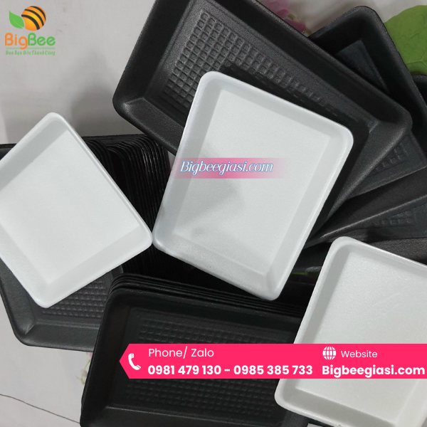 Đa dạng các loại khay xốp tại nhà sản xuất Đa dạng các loại khay xốp tại nhà sản xuất