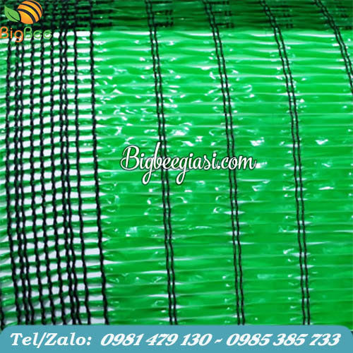 Lưới che nắng Thái lan màu xanh lá Lưới che nắng Thái lan màu xanh lá