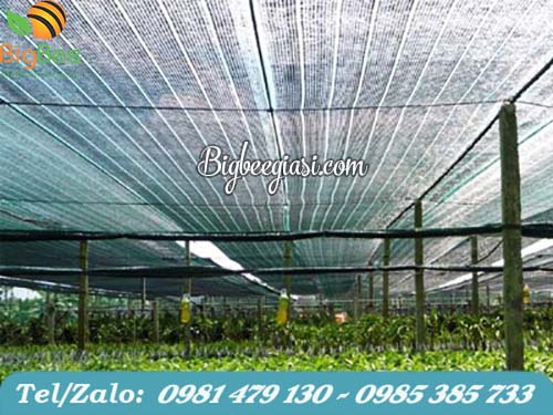 lưới che nắng nông nghiệp lưới che nắng nông nghiệp