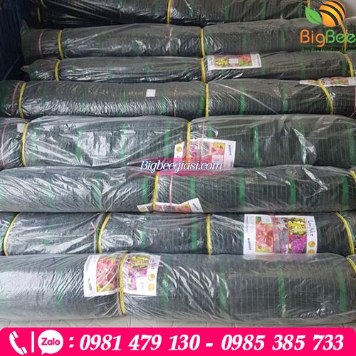 Các cuộn lưới lan che nắng màu đen