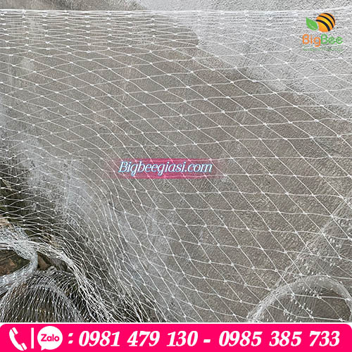 Lưới nhựa trắng lỗ to sử dụng vào nhiều mục đích khác nhau Lưới nhựa trắng lỗ to sử dụng vào nhiều mục đích khác nhau