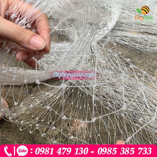 Cung cấp lưới nhựa trắng giá rẻ đảm bảo chất lượng để bà con yên tâm sử dụng Cung cấp lưới nhựa trắng giá rẻ đảm bảo chất lượng để bà con yên tâm sử dụng