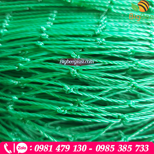 Lưới cước xanh mắt lớn