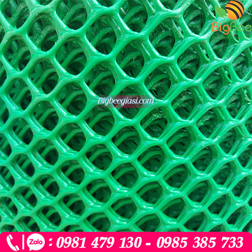 Lưới xanh mắt cáo