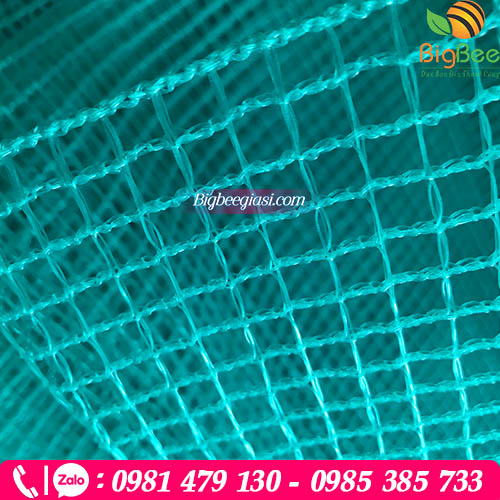 Lưới cước xanh mắt nhỏ