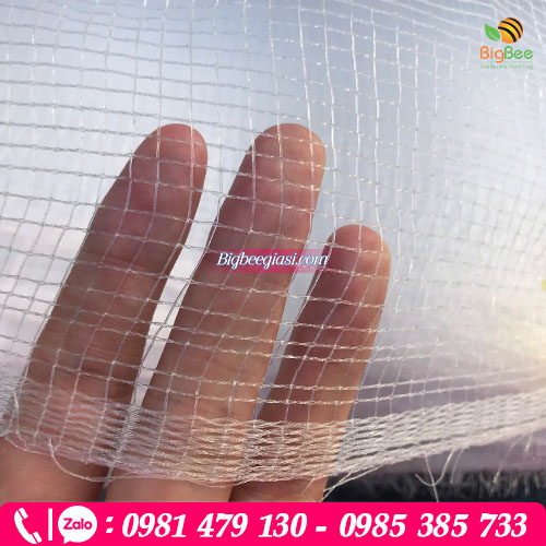 Lưới mùng chắn công trùng màu trắng với độ bền cao Lưới mùng chắn công trùng màu trắng với độ bền cao