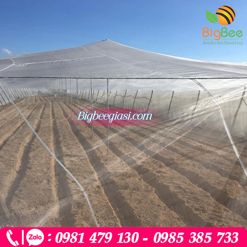 Lưới mùng trồng rau