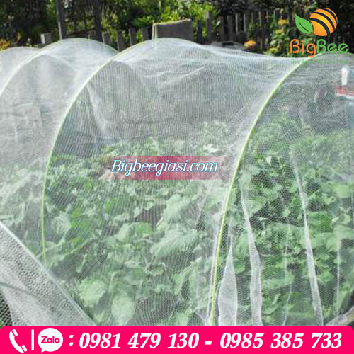 Lưới mùng chắn côn trùng