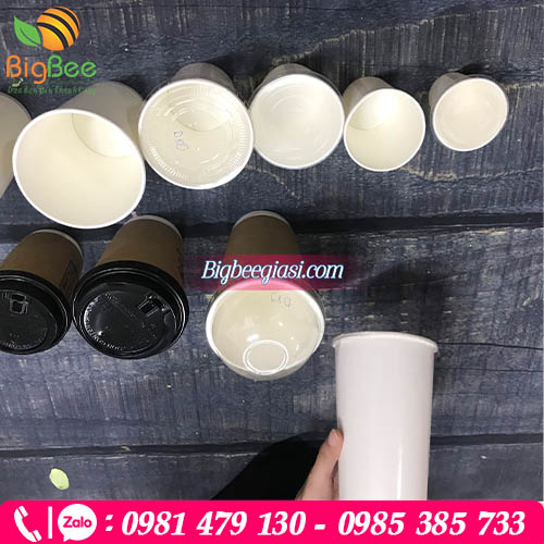 Ly giấy đa dạng kích thước