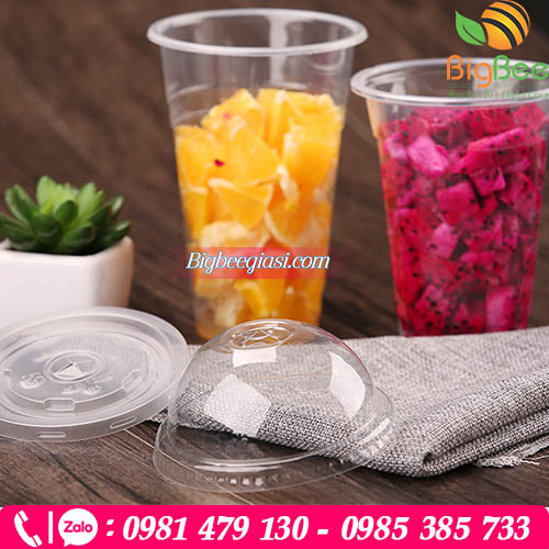 Ly nhựa nắp cầu và nắp bằng