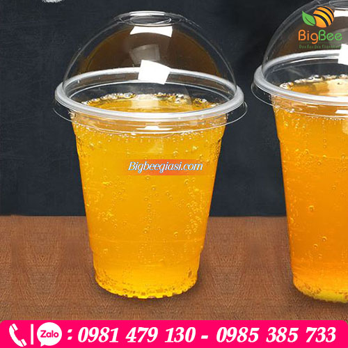 Ly nhựa nắp cầu 500ml Ly nhựa nắp cầu 500ml