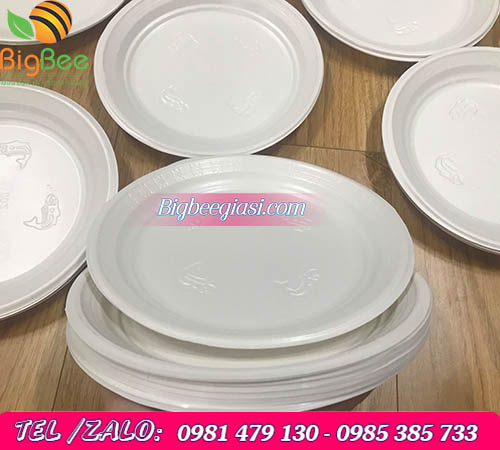 mẫu đĩa giấy dùng 1 lần