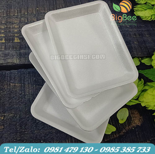 Mẫu khay xốp m14