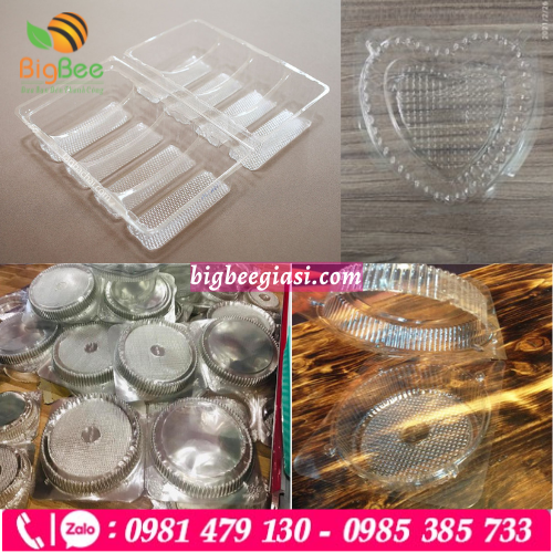 Hộp nhựa đựng bánh pía đa dạng mẫu mã