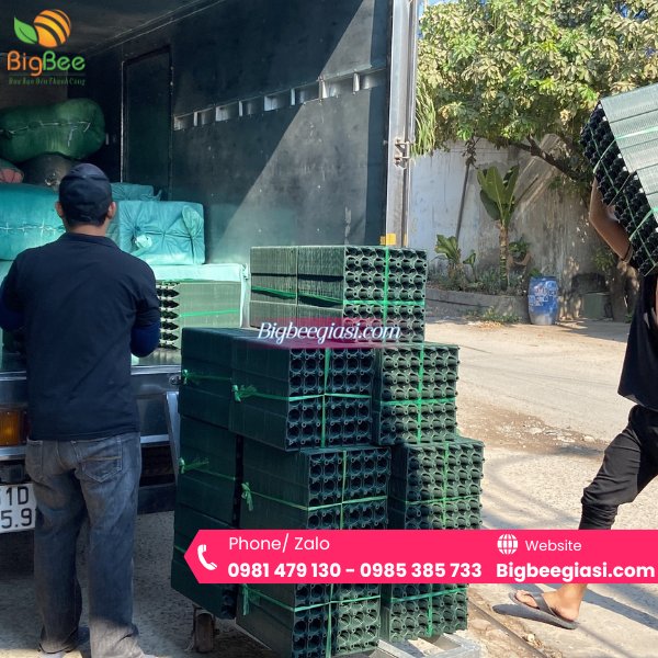 Bao bì nhựa Thu Hồng - Chuyên cung cấp các loại vỉ nhựa đựng trứng giá sỉ cho các đại lý Bao bì nhựa Thu Hồng - Chuyên cung cấp các loại vỉ nhựa đựng trứng giá sỉ cho các đại lý