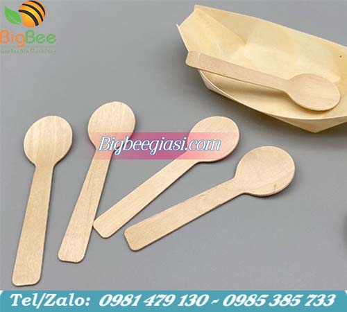 muỗng gỗ ăn kem dùng 1 lần