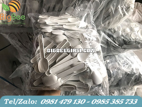 muỗng ăn xôi giá sỉ