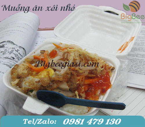 muỗng ăn xôi nhỏ