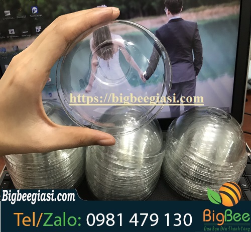 nắp cầu nhựa pet nắp cầu nhựa pet