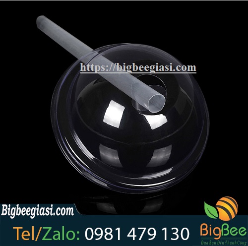 nắp cầu phi 95 nắp cầu phi 95