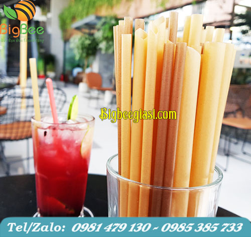 Ống hút làm từ bã mía cao cấp Ống hút làm từ bã mía cao cấp