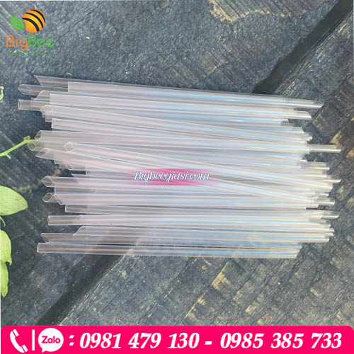 Ống hút nhựa trong 1 đầu nhọn Ống hút nhựa trong 1 đầu nhọn