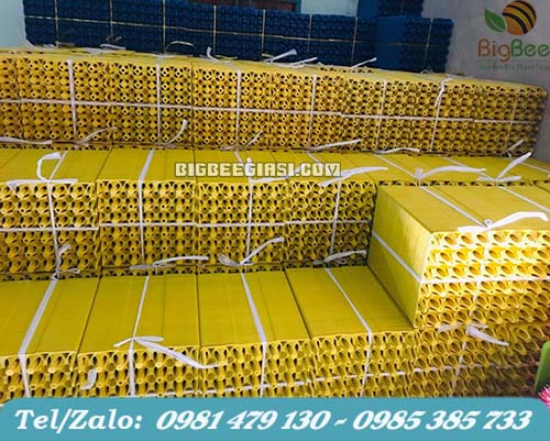 phân phối giá sỉ khay đựng trứng