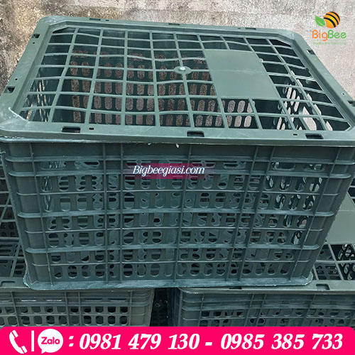 Rổ nhựa đảm bảo chất lượng, siêu bền, dẻo dai, chịu được tải trọng lớn Rổ nhựa đảm bảo chất lượng, siêu bền, dẻo dai, chịu được tải trọng lớn