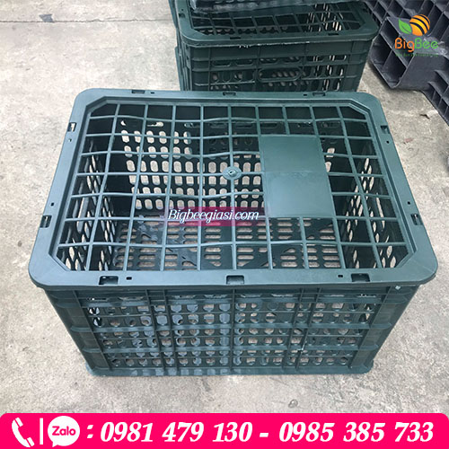 Rổ nhựa đóng trái cây xoài, cam, vải, nhãn, bơ Rổ nhựa đóng trái cây xoài, cam, vải, nhãn, bơ