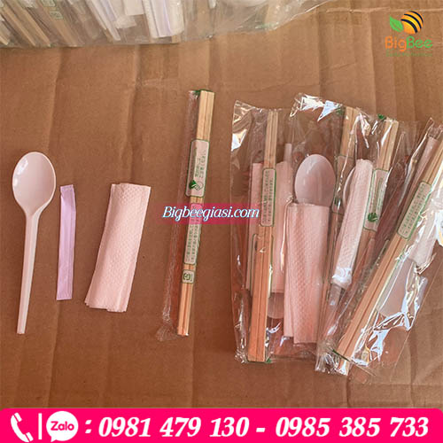 Combo muỗng nhựa - đũa tre tách kiểu nhật, tăm tre, khăn giấy tiện lợi Combo muỗng nhựa - đũa tre tách kiểu nhật, tăm tre, khăn giấy tiện lợi