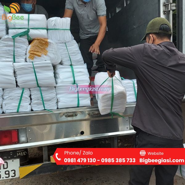 Túi pe trong đảm bảo chất lượng, giá rẻ, đáp ứng được đơn hàng lớn Túi pe trong đảm bảo chất lượng, giá rẻ, đáp ứng được đơn hàng lớn