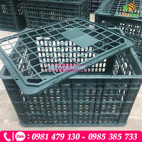 Sọt nhựa đựng trái cây có nắp Sọt nhựa đựng trái cây có nắp