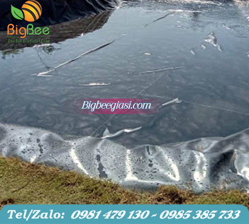 thi công bạt nhựa nuôi tôm cá