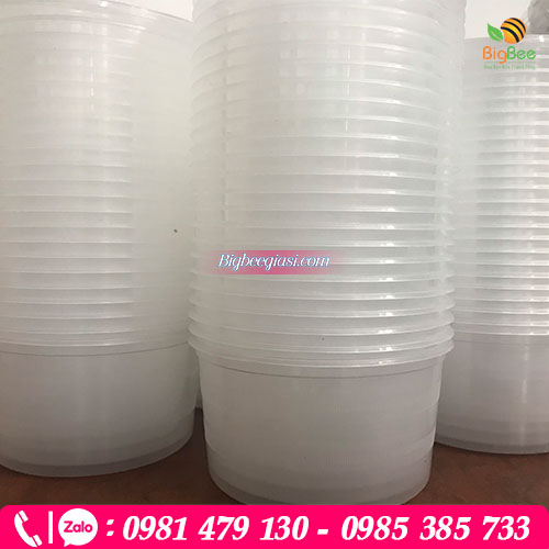 Thố nhựa - hộp nhựa 250ml giá sỉ rẻ cho các cửa hàng. Thố nhựa - hộp nhựa 250ml giá sỉ rẻ cho các cửa hàng.