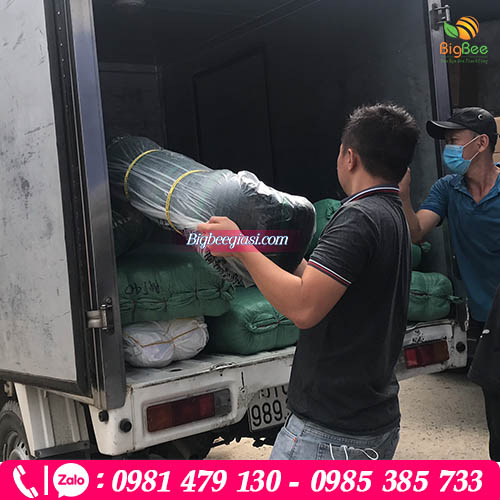 Thu Hồng cung cấp lưới lan giá tốt, hỗ trợ giao hàng tận nơi, nhanh chóng Thu Hồng cung cấp lưới lan giá tốt, hỗ trợ giao hàng tận nơi, nhanh chóng