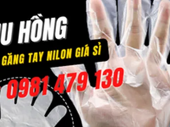 Nơi bán găng tay nilon giá sỉ TpHCM