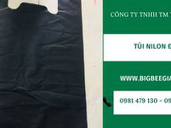 Túi nilon đen giá rẻ loại 1kg, 2kg, 3kg, 5kg, 10kg, 15kg, 20kg tại TpHCM