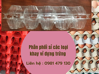 Gia công khay - vỉ nhựa đựng trứng tại Tp.HCM