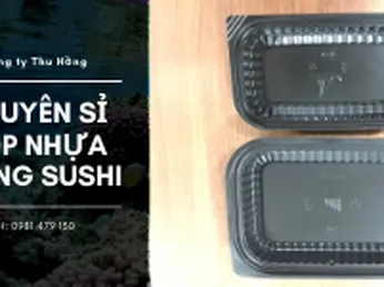 Cung Cấp Hộp Nhựa Đựng Sushi Đủ Loại Lớn Nhỏ