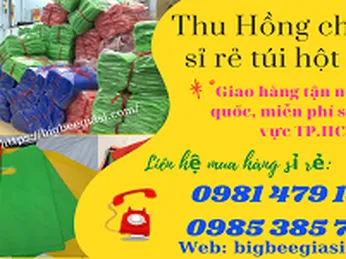 chuyên cung cấp sỉ rẻ túi hột xoài, miễn phí giao hàng tại TPHCM